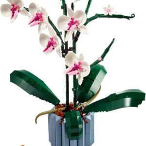 Urunler desert bloom